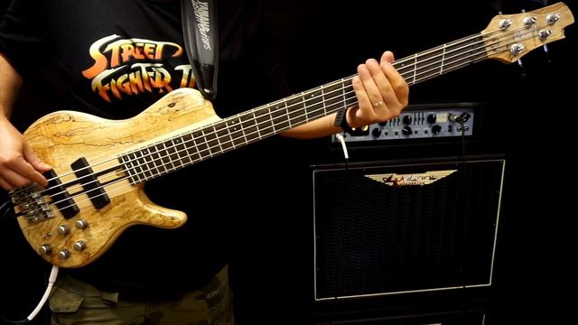 BAD As "Don't Bother Me" - bass playthrough смотреть онлайн