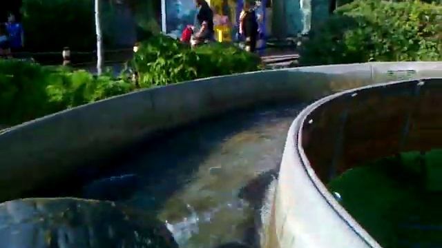 Allou Fun park athens la isla смотреть онлайн