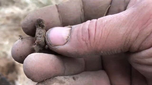 Коп с тх850 Нашёл много интересных предметов! Стоит посмотреть! смотреть онлайн