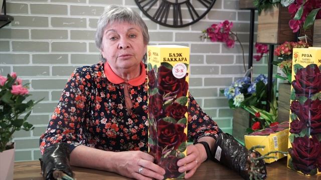 Как выбрать саженцы роз ? Как сохранить розы до посадки смотреть онлайн