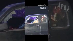 малинуа из К9 в работе,реал#собаки#малинуа#атака#