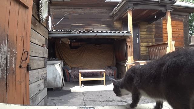 Обед в ограде Рестория котлета куриная с гречкой смотреть онлайн