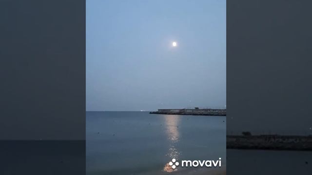 20.08.2021г., Черноморка, Одесса смотреть онлайн