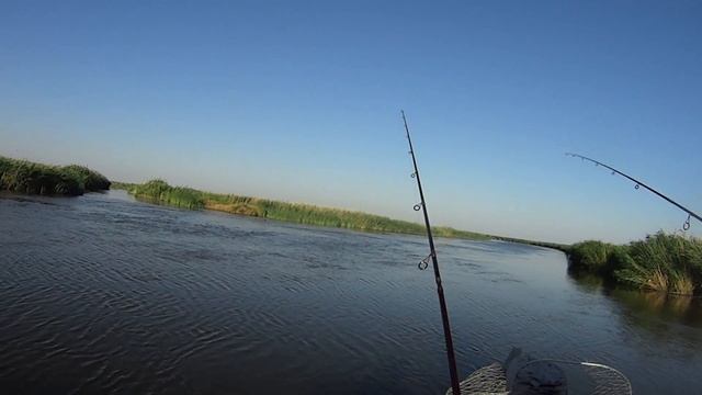 Рыбалка в Темрюкских лиманах смотреть онлайн
