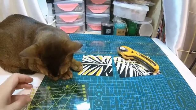 Лоскутное шитье для начинающих. Инструменты для пэчворка. Best Quilting Tools. Patchwork. смотреть онлайн