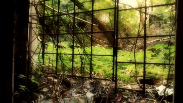 Кто, если не мы? смотреть онлайн