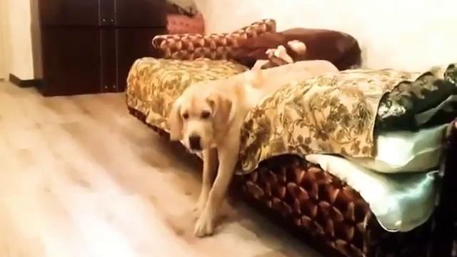 Ауууу на работу как на праздник