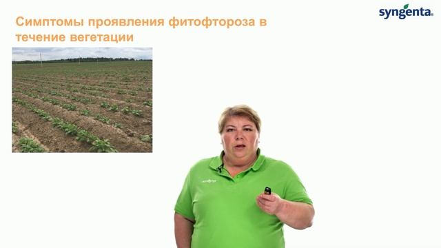 Фитофтороз — опасная болезнь картофеля! смотреть онлайн