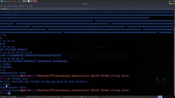 7: Format String Vulnerabilities (printf) - Buffer Overflows - Intro to Binary Exploitation (Pwn)