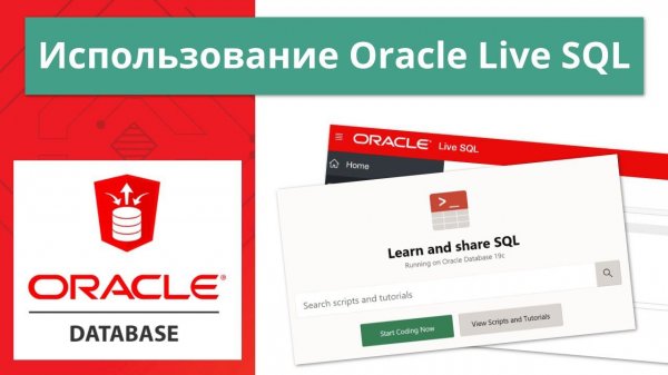 Oracle Live SQL как пользоваться сервисом за 11 минут