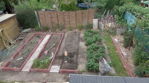 Теплица для ежевики и абрикоса . Часть 1 . Грядки