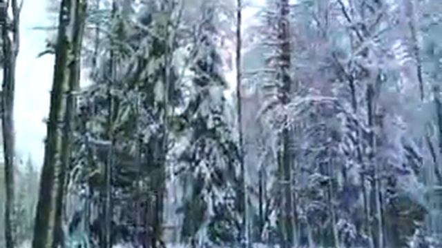 Дача в зимнем лесу 67 км. Приозерского направления. смотреть онлайн
