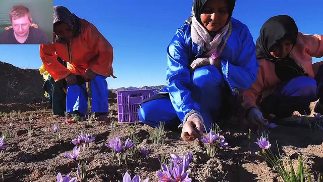 ЧИПСЫ ЗА 1$ vs 860$ РЕАКЦИЯ смотреть онлайн