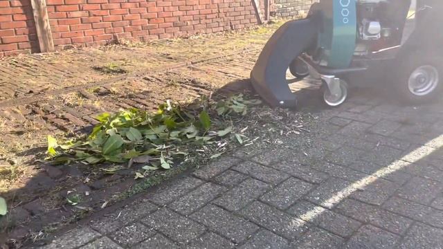 Профессиональный садовый пылесос Remarc LS XP 5.0 #1 смотреть онлайн