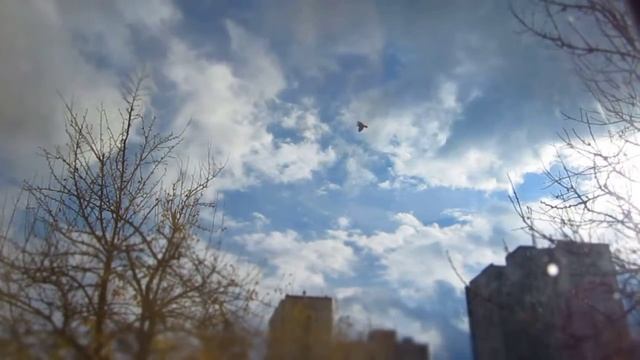 Sky (IXUS 115 HS) смотреть онлайн