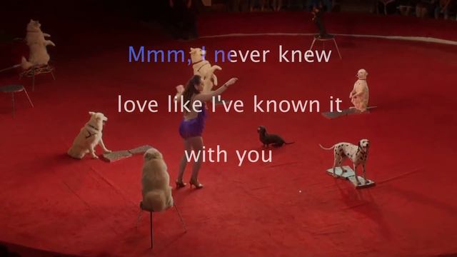 WHITNEY HOUSTON i have nothing - karaoke смотреть онлайн
