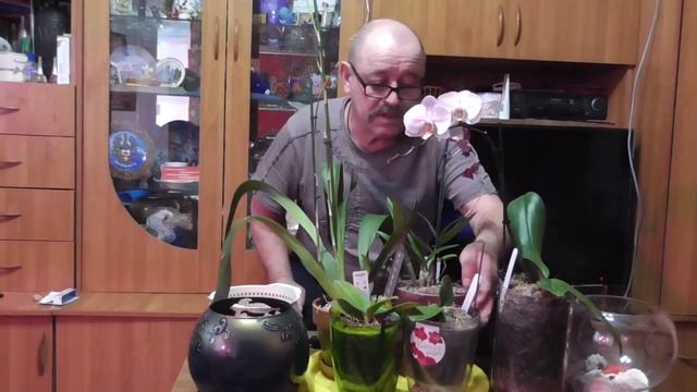 Питание растений часть-1 смотреть онлайн