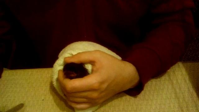 Как выкормить птенца сороки, вороны 2 смотреть онлайн