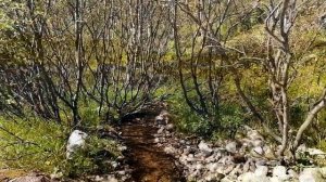 Лето (г. Снежногорск Мурманской области)