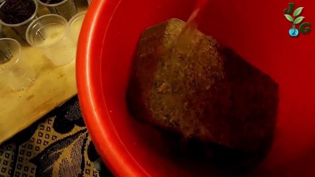 6. Загрузка этажерки посадка растений, проращивание семян, подготовка субстрата смотреть онлайн