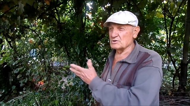 Живность в плавнях, золотая балка и замок князя смотреть онлайн