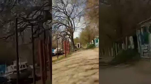 Захват в прибрежной охраняемой зоне смотреть онлайн