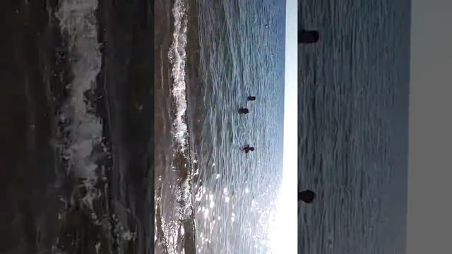 Средиземное море. Анталия. смотреть онлайн