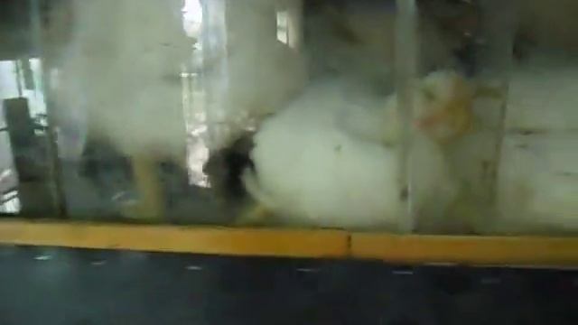 Сетка для бройлеров своими руками ! смотреть онлайн