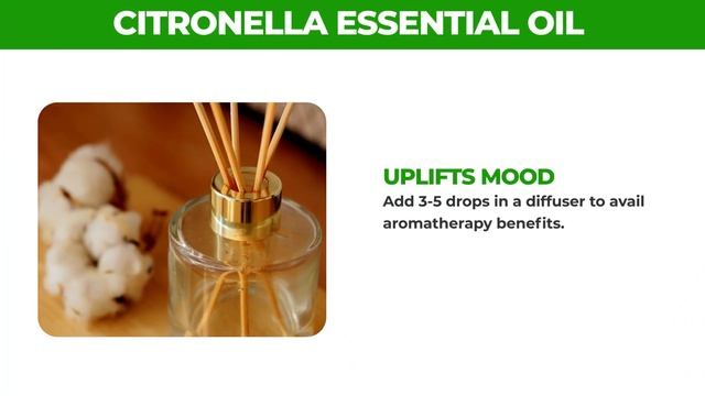 Natural Mosquito Repellant - Citronella Essential Oil ( 50 ml | 100 ml pack ) смотреть онлайн