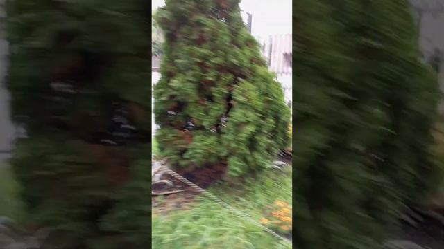 24 октября Дорога в магазини сколько стоит бензин:)