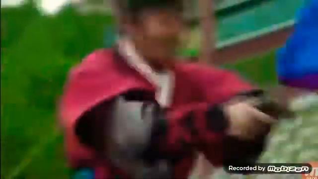 teran ildizlar serial 1-qism смотреть онлайн