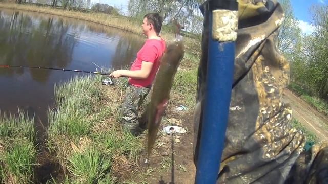 Рыбалка на поплавок и фидер в Волгореченске.Нападение клещей. смотреть онлайн