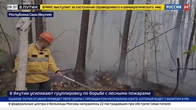 Россия 24, Москва, 25 июня 2024 Борьба с пожарами в Якутии смотреть онлайн