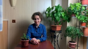 ПЛЮЩ Хедера