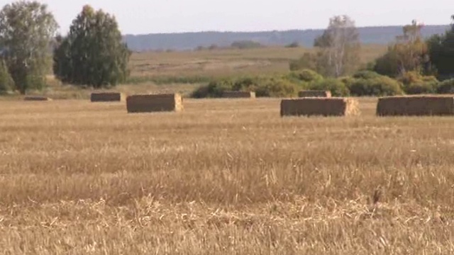 Телеканал "Алабуга" от 21 сентября 2018 года смотреть онлайн