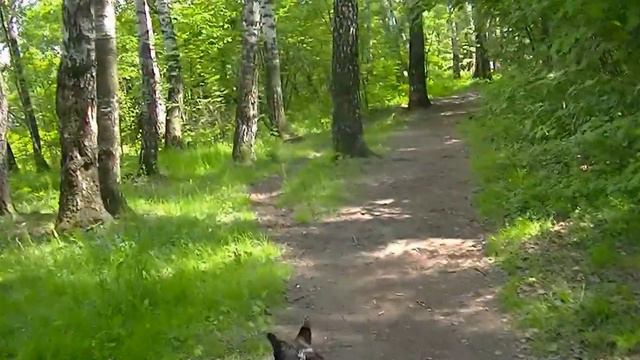 На Косинском Чёрном озере в мае смотреть онлайн