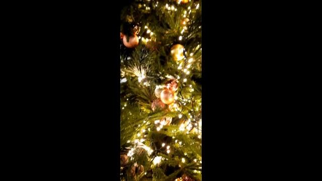 НОВОГОДНЯЯ СКАЗКА