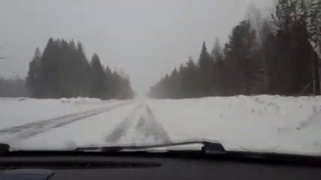 Влог: Отдыхаем всей семьей. Гуляем по Детскому миру. Зверополис. смотреть онлайн