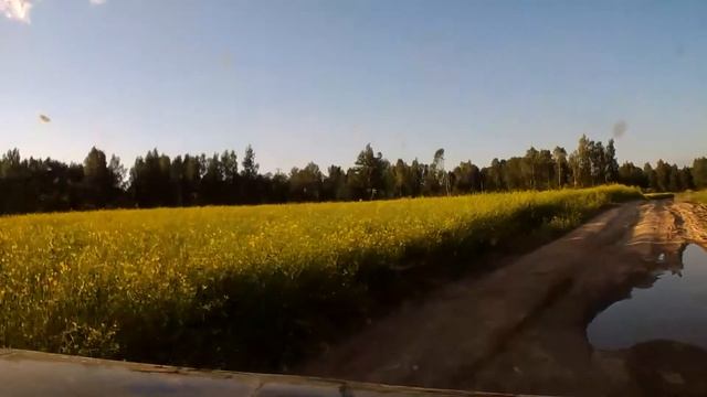 Тест камеры Gembird смотреть онлайн