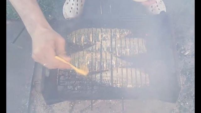 СКУМБРІЯ НА МАНГАЛІ. Швидко маринуємо і смачно готуємо. смотреть онлайн