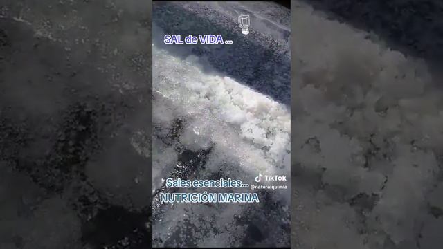 sal de mar, pura vida смотреть онлайн
