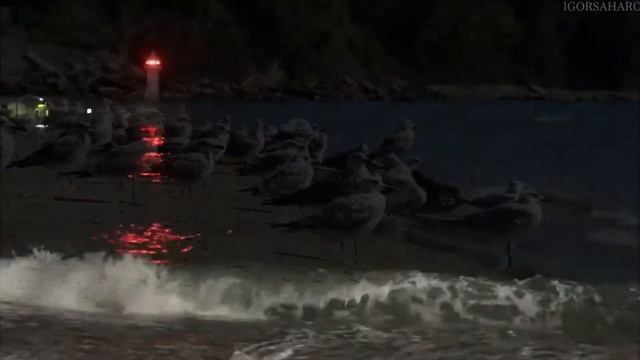 Помечтаем о лете смотреть онлайн