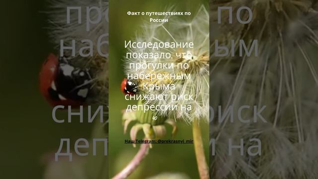 Путешествия по России смотреть онлайн