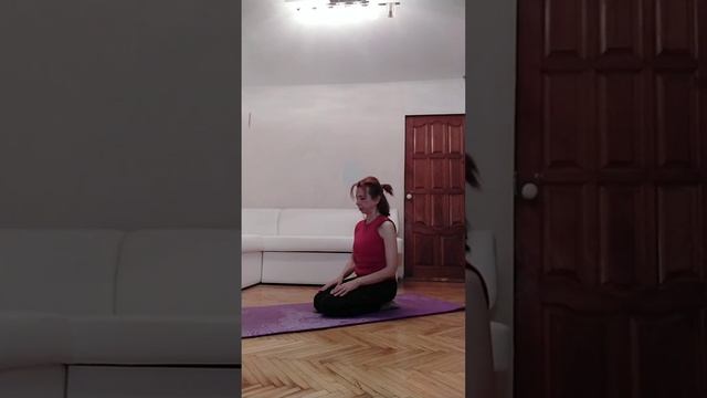 Йога комплекс для женщин. Йога для начинающих. Йога онлайн смотреть онлайн