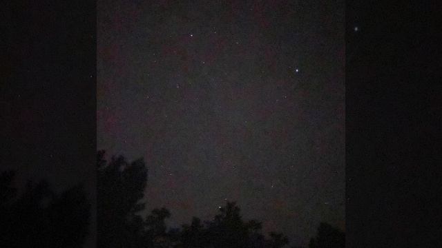 Денис Тарасов - Дельфин смотреть онлайн