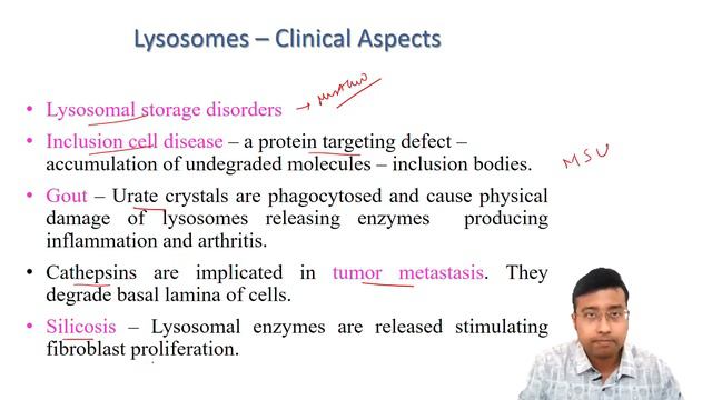 Subcellular organelles : Isolation , Markers and Clinical Aspects (Competency BI 1.1) смотреть онлайн
