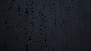 Гибкая керамика PHOMI (пример шоу-рума)