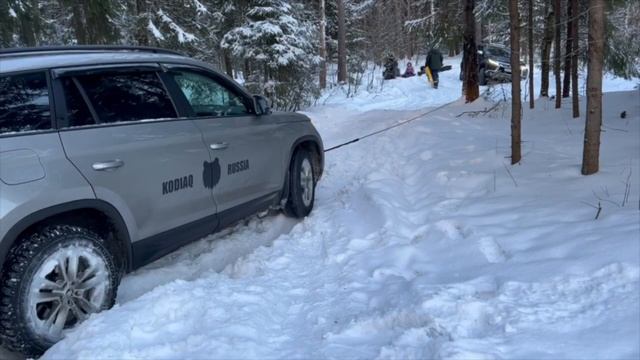 Skoda Kodiaq нашли приключения в зимнем лесу смотреть онлайн