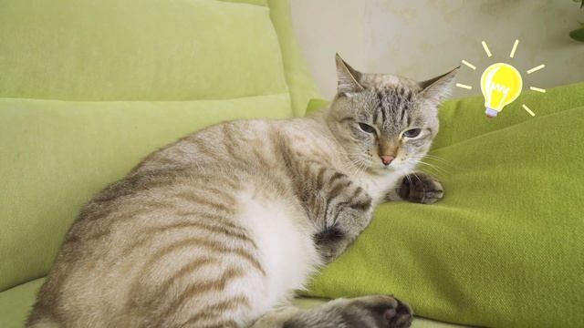 С ХИТРЕЦОМ ВОДИТЬСЯ – в оба глаза глядеть / Веселый ЮКИ и ПОСЛОВИЦЫ смотреть онлайн