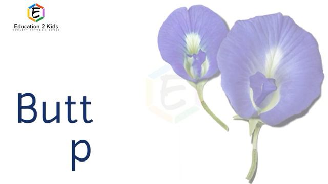 Flowers Name, Flowers, Flowers Name With Pictures, Flowers Name With Spelling, Flowers Name